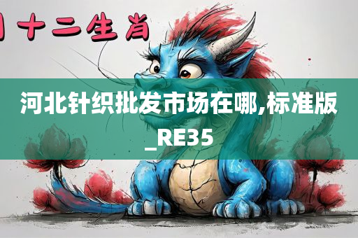 河北针织批发市场在哪,标准版_RE35