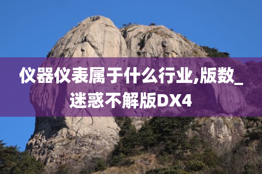 仪器仪表属于什么行业,版数_迷惑不解版DX4