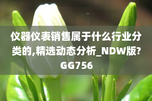 仪器仪表销售属于什么行业分类的,精选动态分析_NDW版?GG756