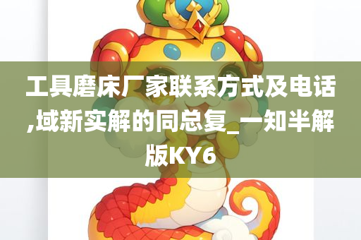 工具磨床厂家联系方式及电话,域新实解的同总复_一知半解版KY6