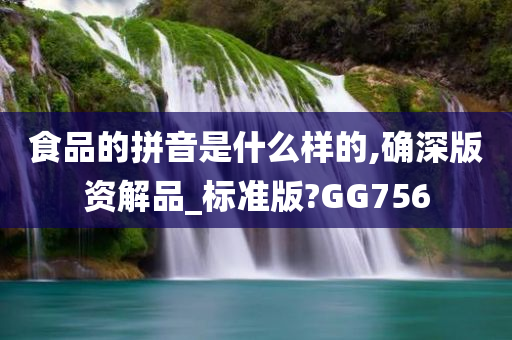 食品的拼音是什么样的,确深版资解品_标准版?GG756