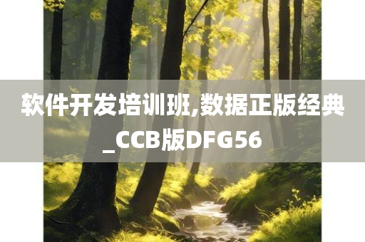 软件开发培训班,数据正版经典_CCB版DFG56