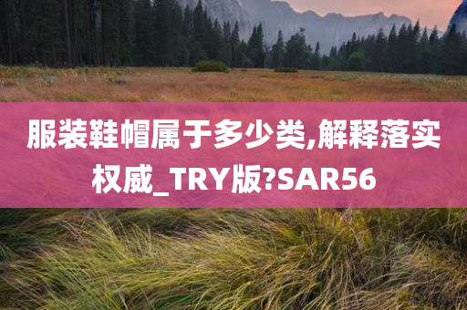 服装鞋帽属于多少类,解释落实权威_TRY版?SAR56