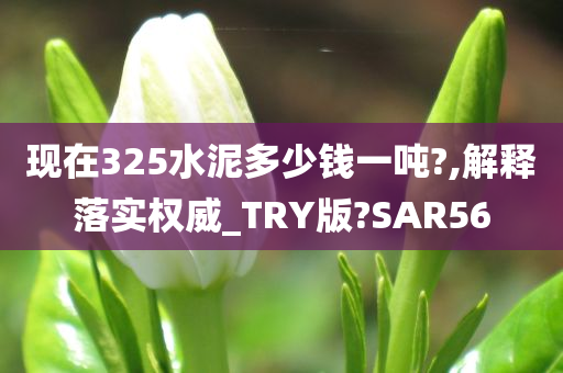 现在325水泥多少钱一吨?,解释落实权威_TRY版?SAR56