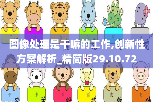 图像处理是干嘛的工作,创新性方案解析_精简版29.10.72