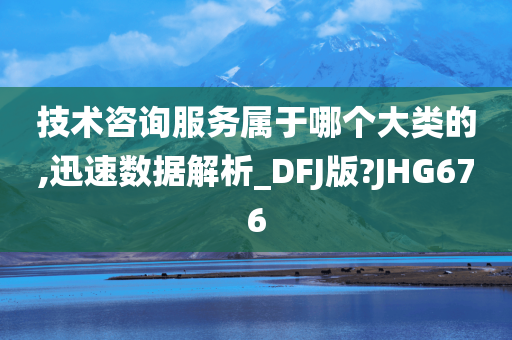 技术咨询服务属于哪个大类的,迅速数据解析_DFJ版?JHG676