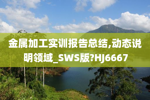 金属加工实训报告总结,动态说明领域_SWS版?HJ6667