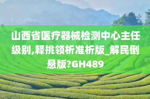 山西省医疗器械检测中心主任级别,释挑领析准析版_解民倒悬版?GH489