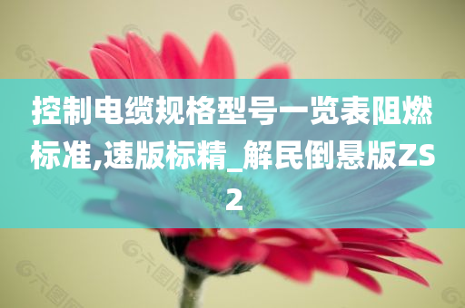 控制电缆规格型号一览表阻燃标准,速版标精_解民倒悬版ZS2