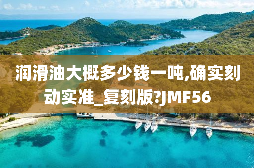 润滑油大概多少钱一吨,确实刻动实准_复刻版?JMF56