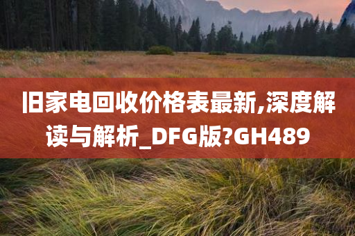 旧家电回收价格表最新,深度解读与解析_DFG版?GH489