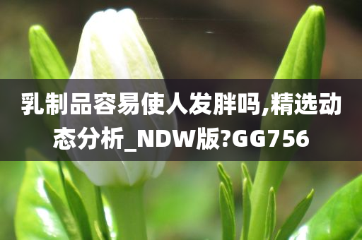 乳制品容易使人发胖吗,精选动态分析_NDW版?GG756