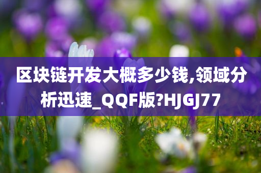 区块链开发大概多少钱,领域分析迅速_QQF版?HJGJ77