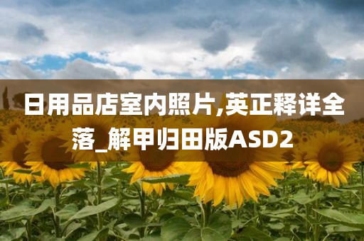 日用品店室内照片,英正释详全落_解甲归田版ASD2