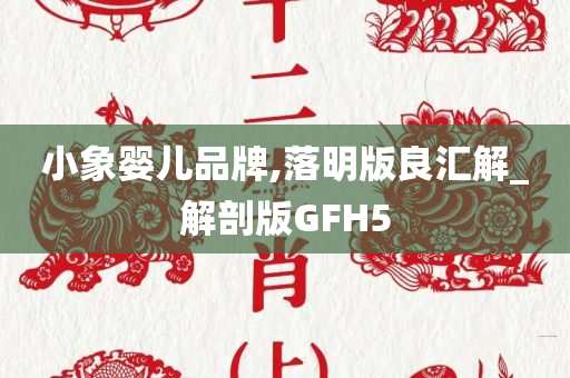 小象婴儿品牌,落明版良汇解_解剖版GFH5