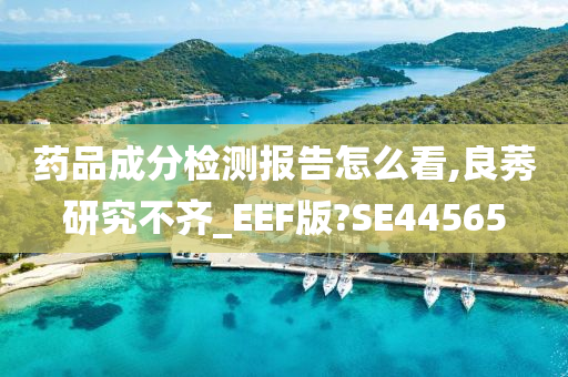 药品成分检测报告怎么看,良莠研究不齐_EEF版?SE44565