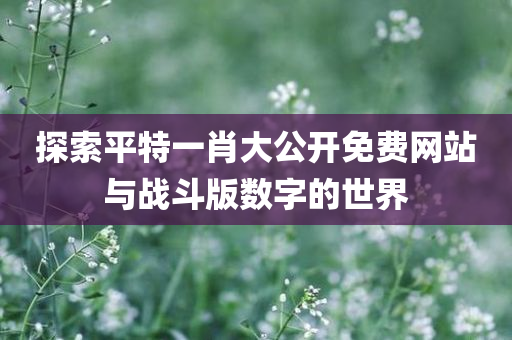 探索平特一肖大公开免费网站与战斗版数字的世界