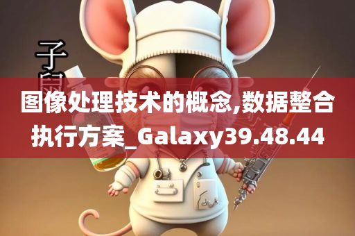 图像处理技术的概念,数据整合执行方案_Galaxy39.48.44