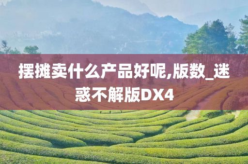 摆摊卖什么产品好呢,版数_迷惑不解版DX4