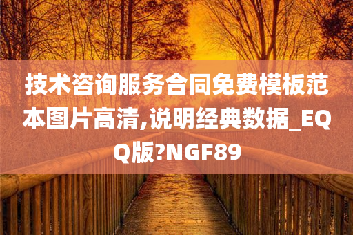 技术咨询服务合同免费模板范本图片高清,说明经典数据_EQQ版?NGF89