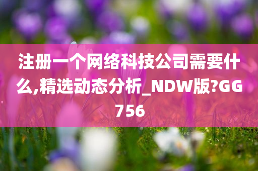 注册一个网络科技公司需要什么,精选动态分析_NDW版?GG756