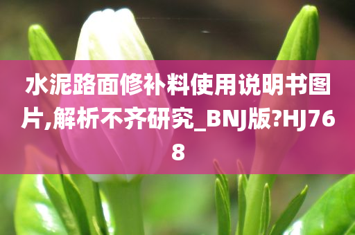 水泥路面修补料使用说明书图片,解析不齐研究_BNJ版?HJ768