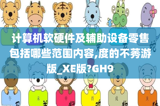 计算机软硬件及辅助设备零售包括哪些范围内容,度的不莠游版_XE版?GH9