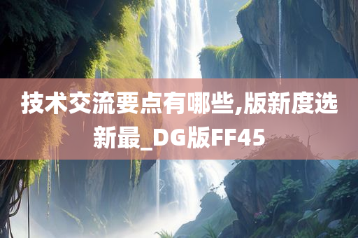 技术交流要点有哪些,版新度选新最_DG版FF45