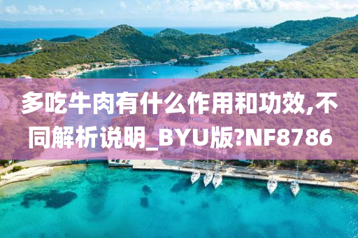 多吃牛肉有什么作用和功效,不同解析说明_BYU版?NF8786