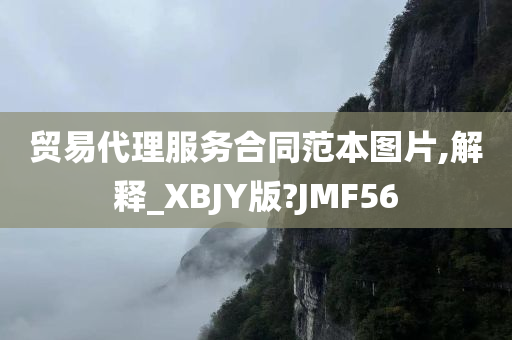 贸易代理服务合同范本图片,解释_XBJY版?JMF56