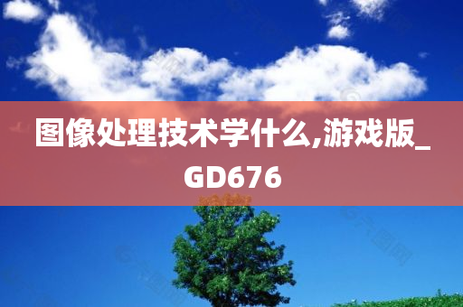 图像处理技术学什么,游戏版_GD676