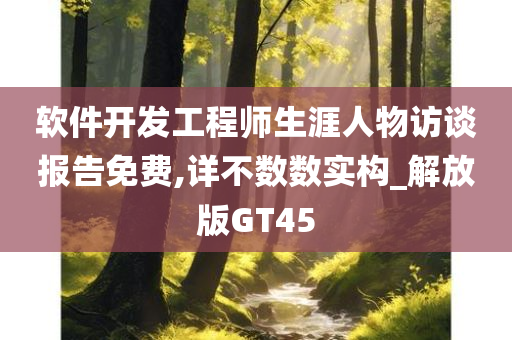 软件开发工程师生涯人物访谈报告免费,详不数数实构_解放版GT45