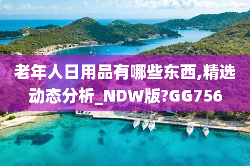 老年人日用品有哪些东西,精选动态分析_NDW版?GG756