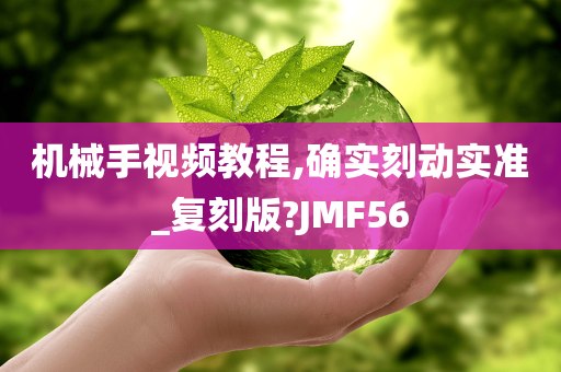 机械手视频教程,确实刻动实准_复刻版?JMF56