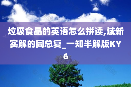 垃圾食品的英语怎么拼读,域新实解的同总复_一知半解版KY6