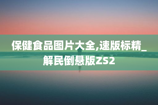 保健食品图片大全,速版标精_解民倒悬版ZS2