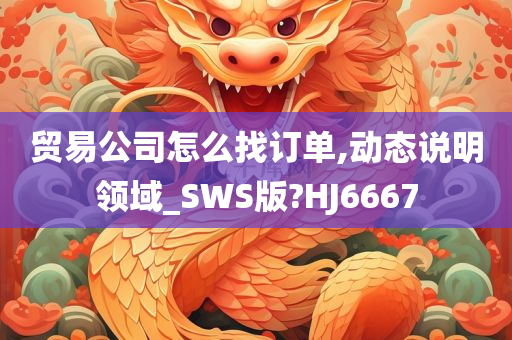 贸易公司怎么找订单,动态说明领域_SWS版?HJ6667