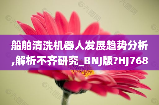 船舶清洗机器人发展趋势分析,解析不齐研究_BNJ版?HJ768