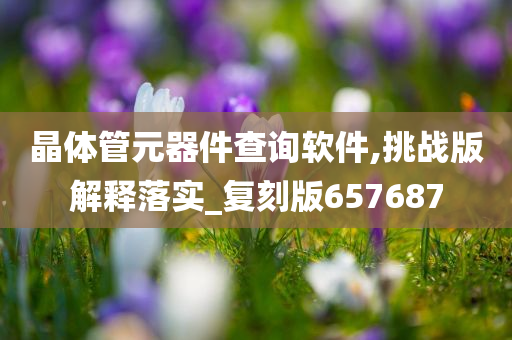 晶体管元器件查询软件,挑战版解释落实_复刻版657687