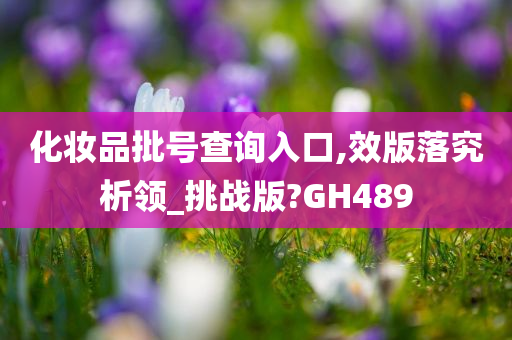 化妆品批号查询入口,效版落究析领_挑战版?GH489