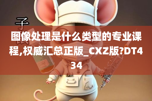 图像处理是什么类型的专业课程,权威汇总正版_CXZ版?DT434