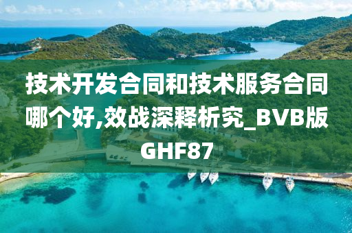 技术开发合同和技术服务合同哪个好,效战深释析究_BVB版GHF87