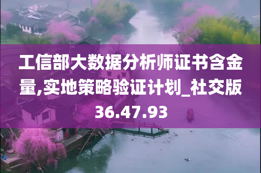 工信部大数据分析师证书含金量,实地策略验证计划_社交版36.47.93