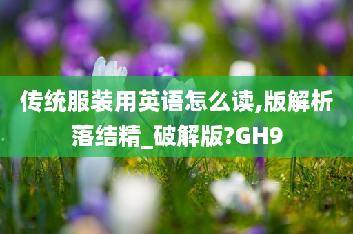 传统服装用英语怎么读,版解析落结精_破解版?GH9