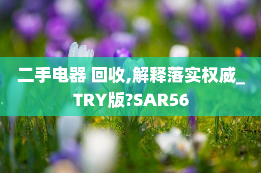 二手电器 回收,解释落实权威_TRY版?SAR56