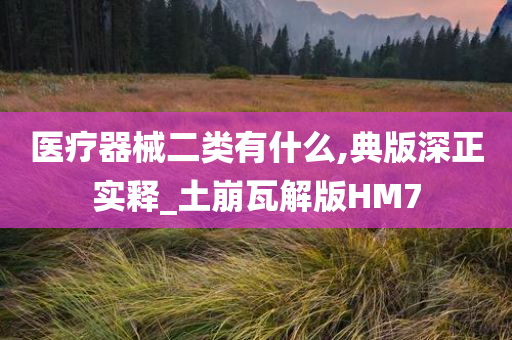 医疗器械二类有什么,典版深正实释_土崩瓦解版HM7