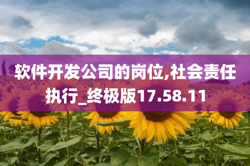 软件开发公司的岗位,社会责任执行_终极版17.58.11