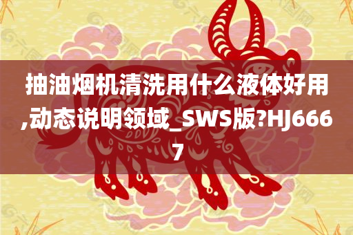 抽油烟机清洗用什么液体好用,动态说明领域_SWS版?HJ6667