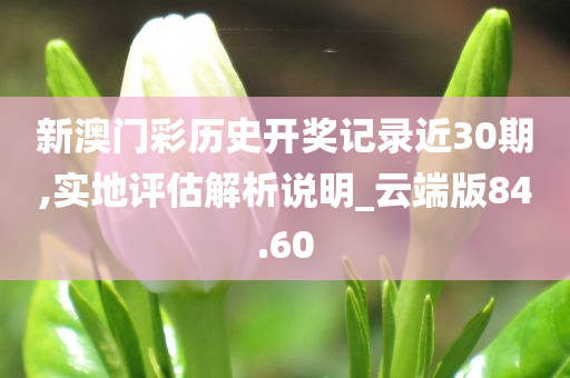 新澳门彩历史开奖记录近30期,实地评估解析说明_云端版84.60