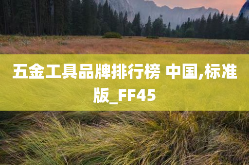 五金工具品牌排行榜 中国,标准版_FF45